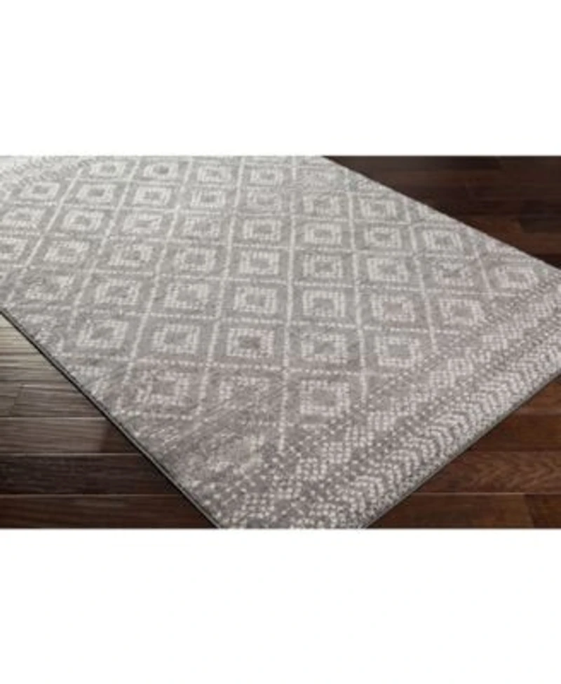 Livabliss Sunderland Sun 2302 Gray Area Rug