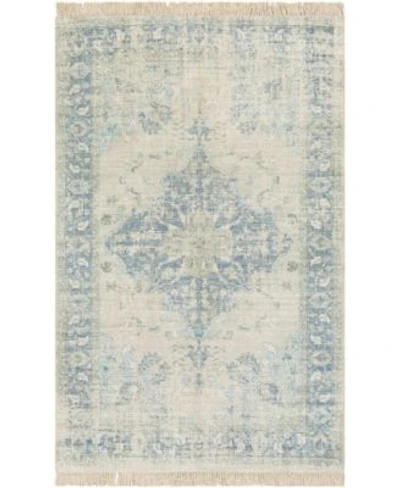 Closeout Livabliss Zainab Zai 2300 Mist Area Rug