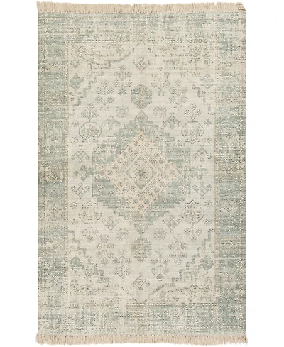 Livabliss Zainab Zai-2311 Sage 2' x 3' Area Rug