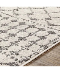 Livabliss Chester Che- 2'7" x 7'3" Area Rug