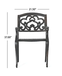 Noble House Austin Outdoor Cast Dining Chairs, Set of 2