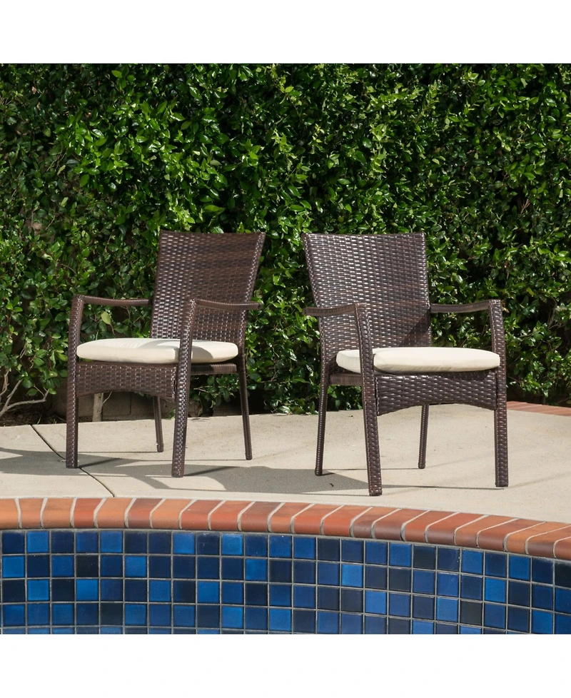 Noble House Wilkerson Outdoor Dining Chair with Cushion, Set of 2
