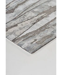 Feizy Dryden R8789 Beige 3'6" x 5'6" Area Rug