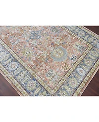 Amer Rugs Century Cen-16 Coral 7'10" x 10'6" Area Rug