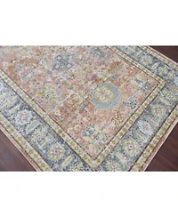 Amer Rugs Century Cen 16 Coral Area Rug Collection