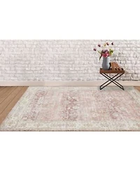 Amer Rugs Century Cen 8 Salmon Area Rug Collection