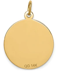 Medical Info Charm Pendant in 14k Gold