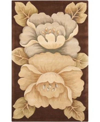 Nourison Home Tropics Ts09 Brown Rug