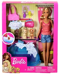 Barbie Doll & Accessories