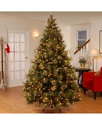 National Tree Company 9' Carolina Pine Tree with 900 Clear Lights