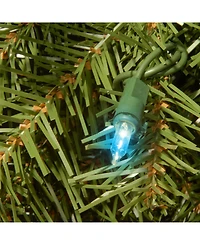 National Tree Company 24" Norwood Fir Wreath with 50 Multi Battery Operated Led Lights