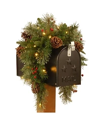 National Tree Company 36" Feel Real(R) Colonial Mail Box Swag with 8 Pine Cones, 8 Red Berries and 15 Warm White Battery Operated Led Lights w/Timer