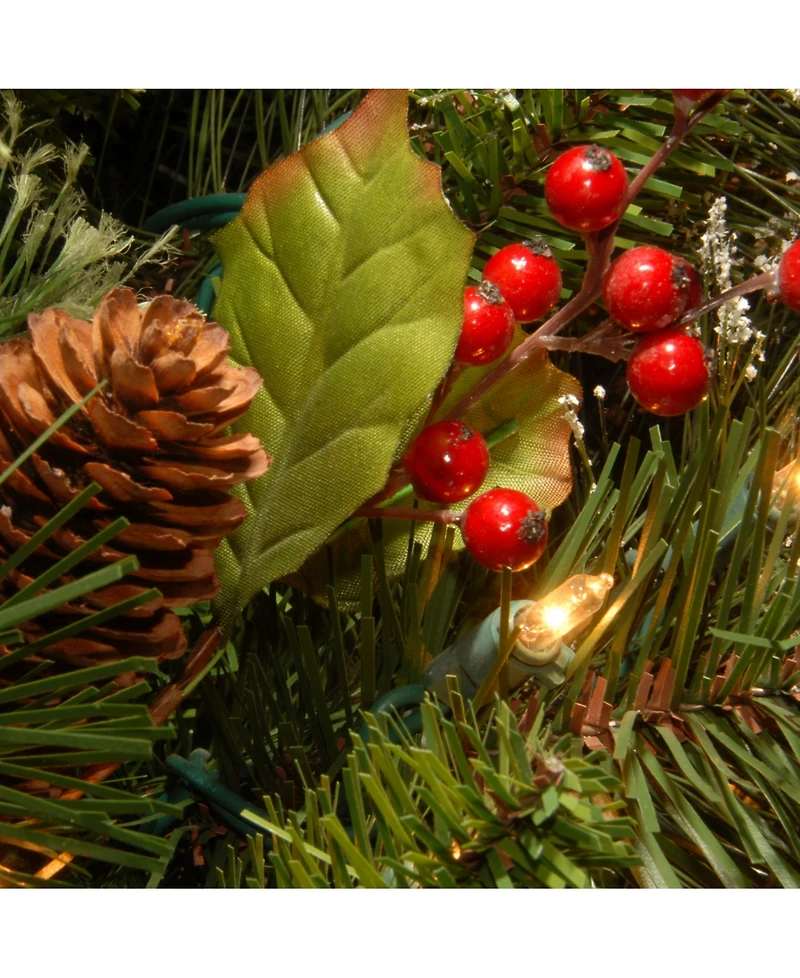 National Tree Company 24" Wintry Pine Wreath with Cones, Red Berries, Snowflakes and 50 Clear Lights