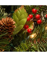 National Tree Company 24" Wintry Pine Wreath with Cones, Red Berries, Snowflakes and 50 Clear Lights