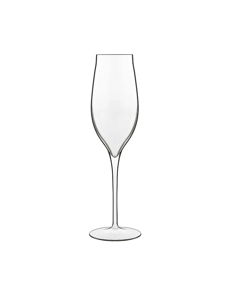 Vinea 6.75 Oz Prosecco Wine Glasses, Set of 2
