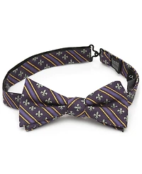 Men's Mardi Gras Stripe Bow Tie