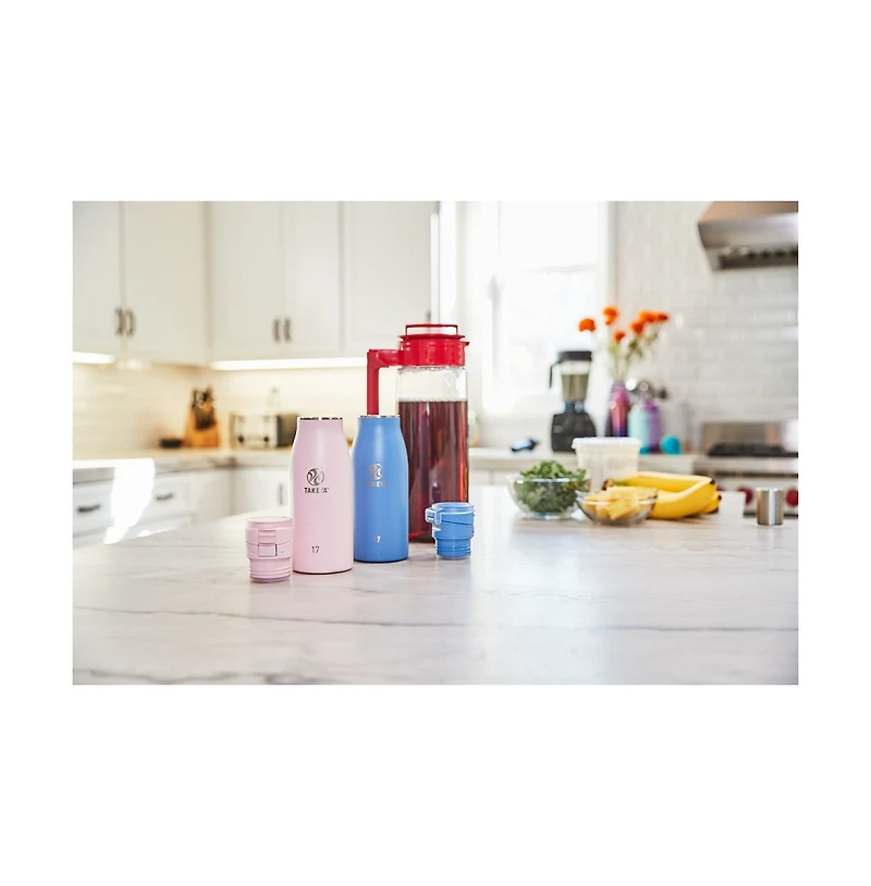 Takeya Traveler 17-Oz. Travel Mug with Flip-Lock Lid