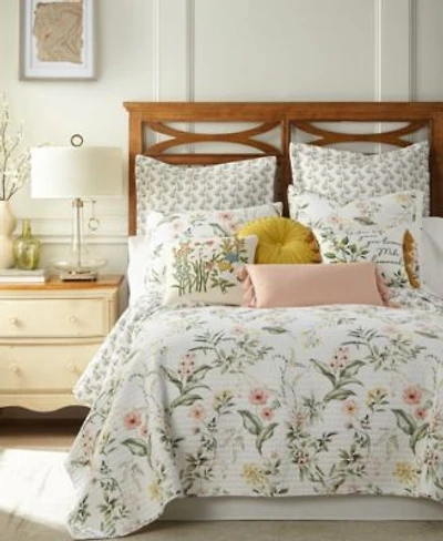 Levtex Viviana Watercolor Floral Quilt Sets
