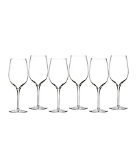 Elegance Wine Tasting Party Glasses 15 Oz, Set of 6