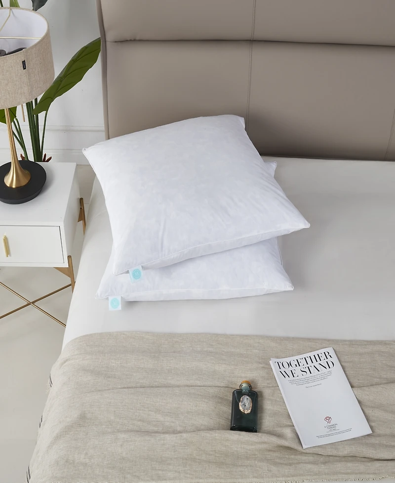 Martha Stewart Feather Firm 2-Pack Pillow, European