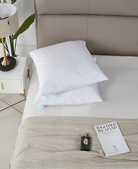 Martha Stewart Feather Firm 2-Pack Pillow, European