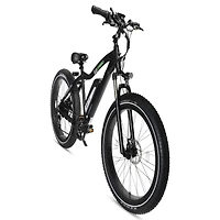 GoPowerBike GoSpeed Fat-Tire Electric Bike