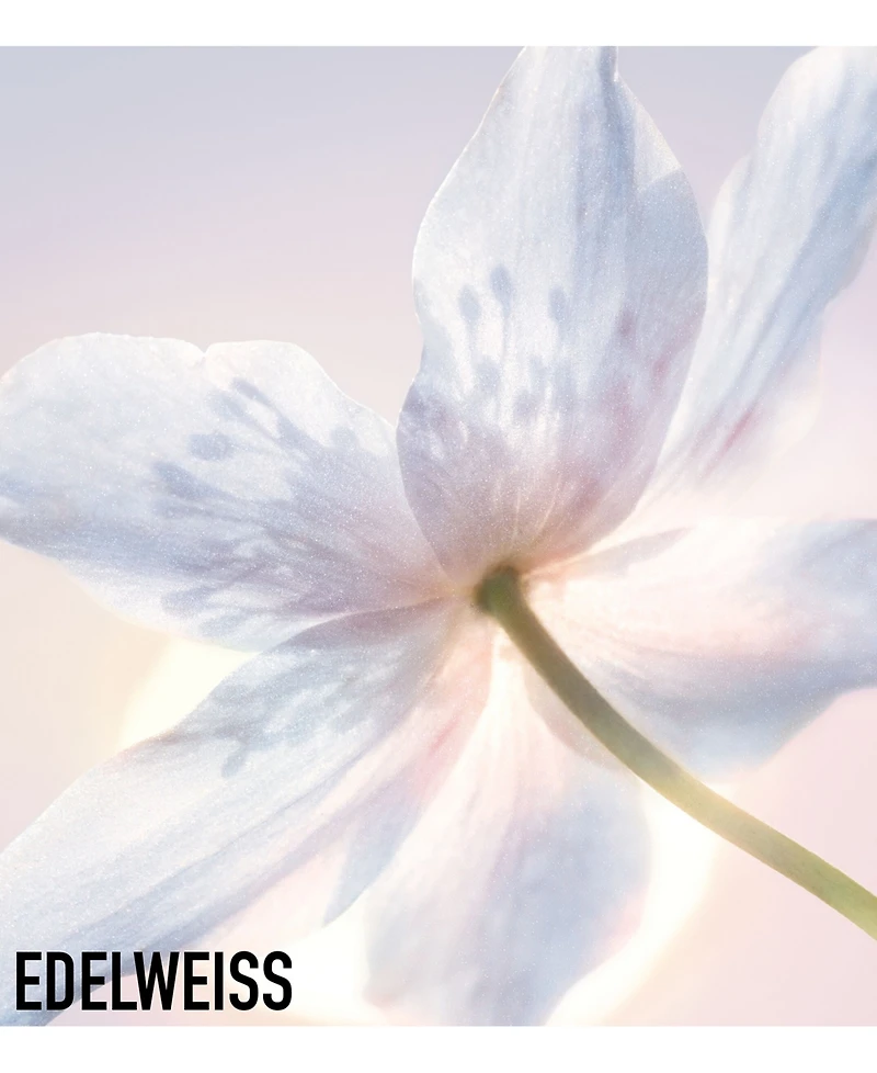 Dior Diorsnow Essence Of Light Purifying Brightening Foam Face Cleanser