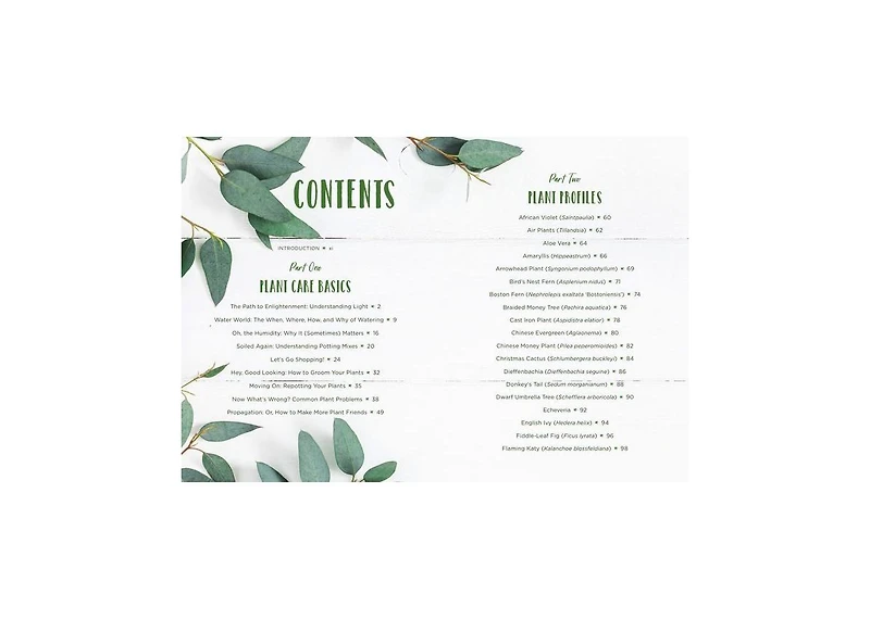 How to Houseplant