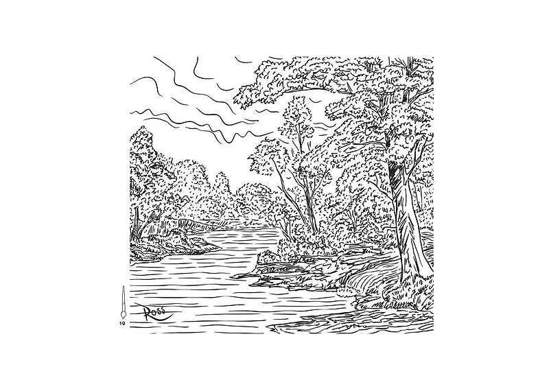 Bob Ross Paint with Water by Editors of Thunder Bay Press