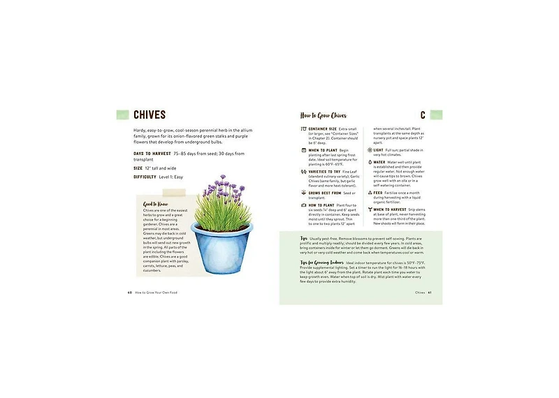 How to Grow Your Own Food