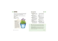 How to Grow Your Own Food