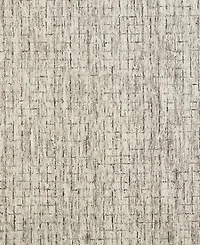 Feizy Belfort R8667 5' x 8' Area Rug