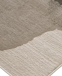 Feizy Waldor R3602 6'7" x 9'6" Area Rug