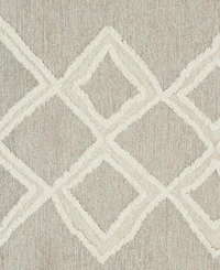 Feizy Anica R8009 4' x 6' Area Rug