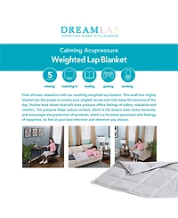DreamLab 5lb Weighted Lap Throw, 20" x 23"