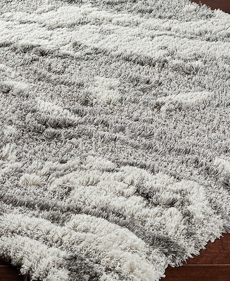 Livabliss Alta Shag ASG2301 6'7" x 9' Area Rug