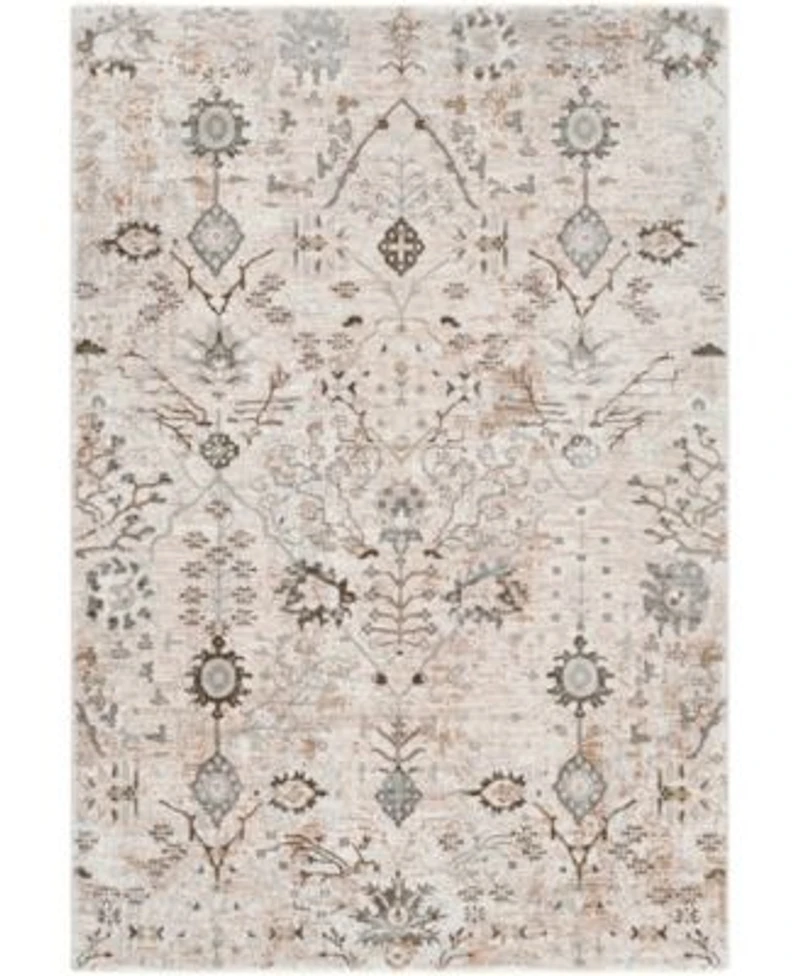 Livabliss Brunswick Bwk2311 Area Rug