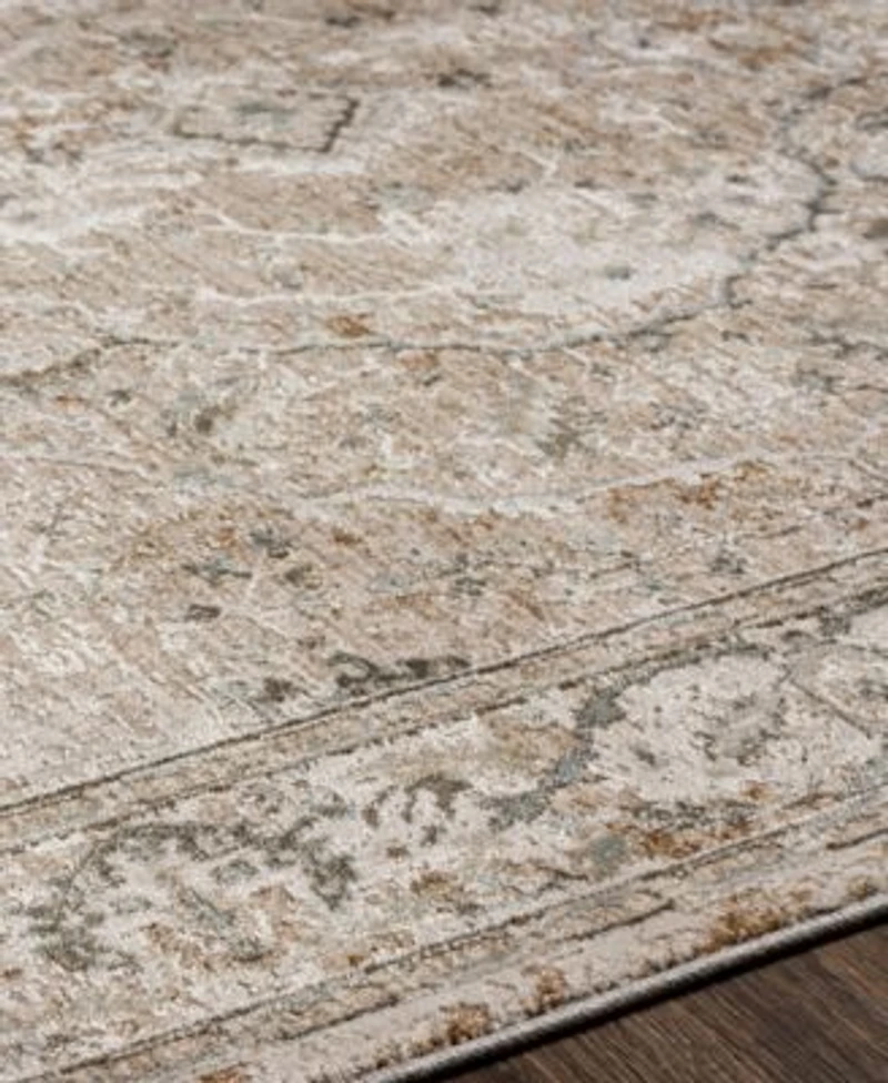 Livabliss Brunswick Bwk2312 Area Rug