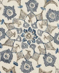 Lr Home Radiance Rdc54090 Area Rug