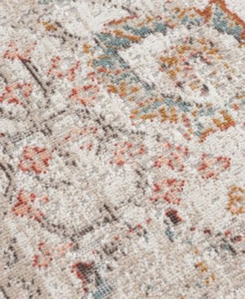 Closeout Lr Home Heirloom Hrl81452 Area Rug