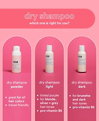 Verb Dry Shampoo Powder