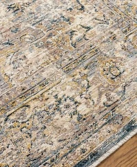 Livabliss Aspendos Aps 2304 Area Rugs