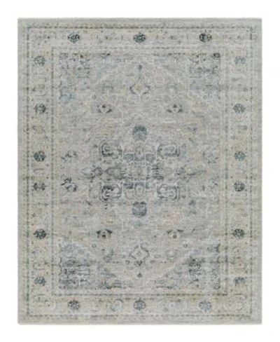 Surya Brunswick Bwk Area Rugs