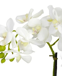 Nearly Natural Phalaenopsis Flower Arrangement