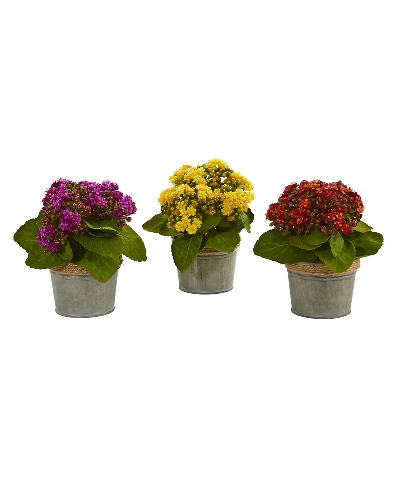 Nearly Natural Kalanchoe Artificial Arrangements, Set of 3