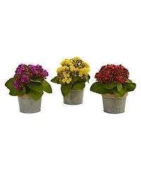 Nearly Natural Kalanchoe Artificial Arrangements, Set of 3