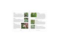 Master Recipes From the Herbal Apothecary