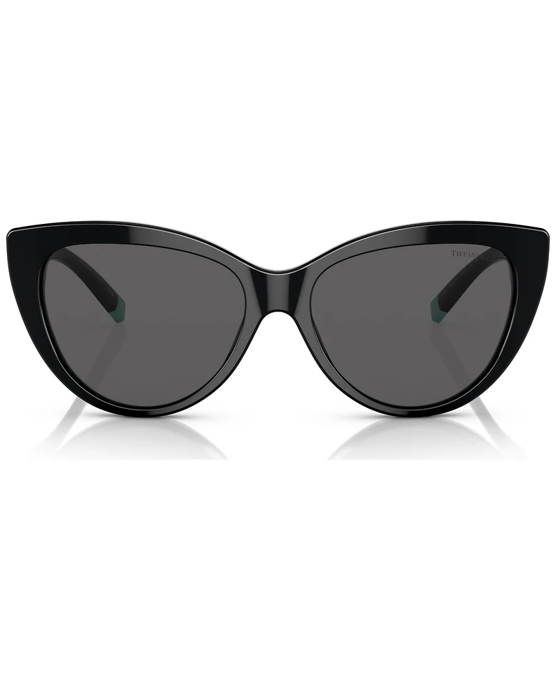 Tiffany & Co. Women's Sunglasses, TF4196