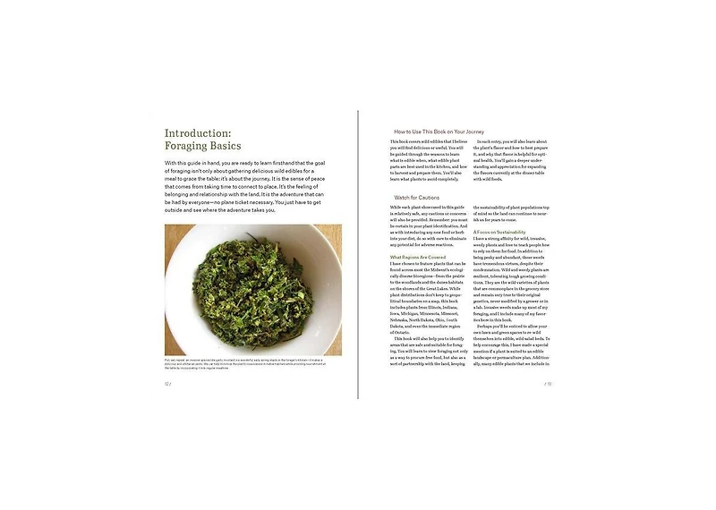Midwest Foraging: 115 Wild and Flavorful Edibles from Burdock to Wild Peach by Lisa M. Rose