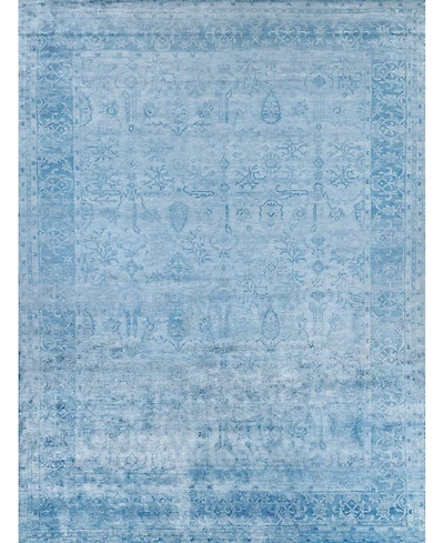 Exquisite Rugs Antique'd Silk ER5171 6' x 9' Area Rug